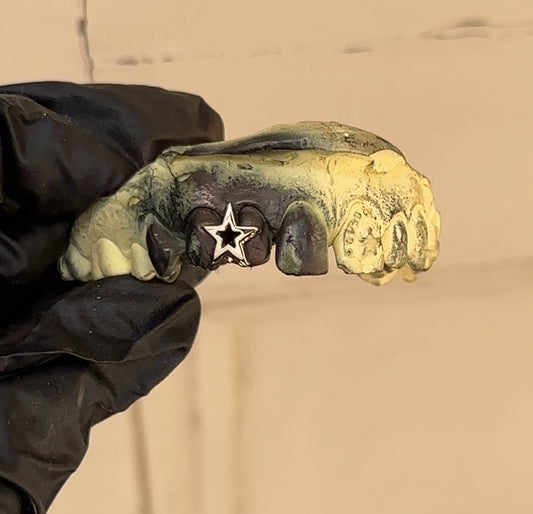 Star of Venus Grillz (10ct yellow or white gold between two teeth)