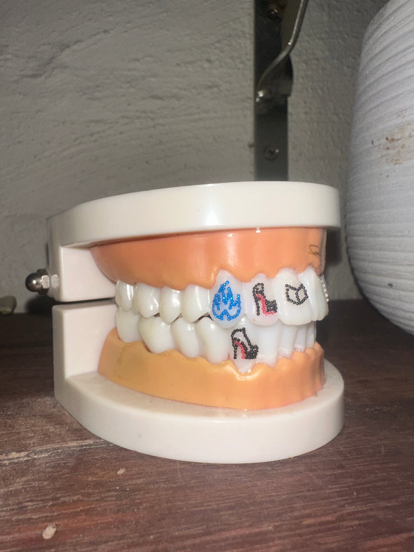 Teeth Model